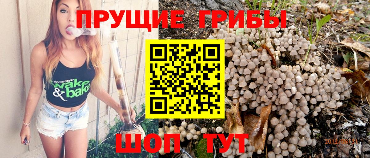 Чехов  Псилоцибиновые грибы GOLDEN TEACHER  Вход с VPN  Галлюциногенные грибы GOLDEN TEACHER 